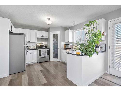 106 San Diego Manor Ne, Calgary, AB - Indoor Photo Showing Kitchen With Upgraded Kitchen