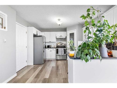 106 San Diego Manor Ne, Calgary, AB - Indoor Photo Showing Kitchen
