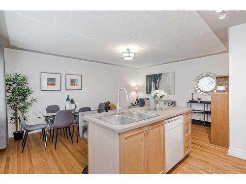 5-330 19 Avenue Sw, Calgary, AB - Indoor Photo Showing Kitchen With Double Sink