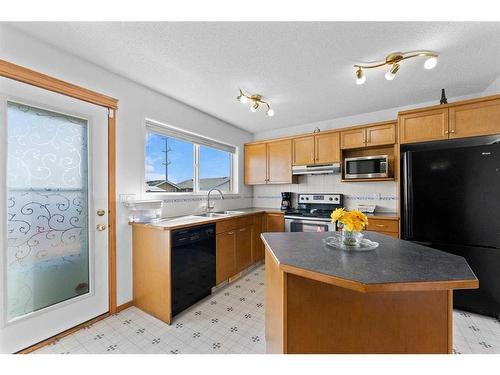 166 Cramond Circle Se, Calgary, AB - Indoor Photo Showing Kitchen With Double Sink