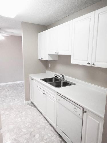 406-30 Mchugh Court Ne, Calgary, AB - Indoor Photo Showing Kitchen With Double Sink