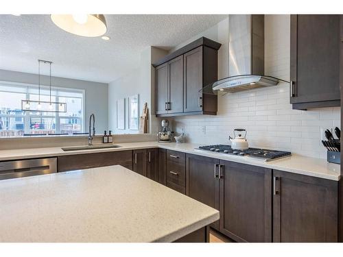 186 Chaparral Valley Way Se, Calgary, AB - Indoor Photo Showing Kitchen With Upgraded Kitchen