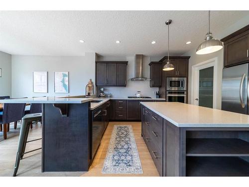 186 Chaparral Valley Way Se, Calgary, AB - Indoor Photo Showing Kitchen With Stainless Steel Kitchen With Upgraded Kitchen