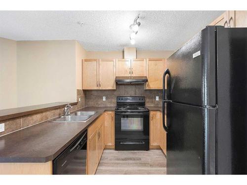 2108-115 Prestwick Villas Se, Calgary, AB - Indoor Photo Showing Kitchen With Double Sink