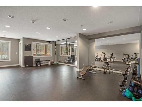 319-300 Palliser Lane, Canmore, AB - Indoor Photo Showing Gym Room