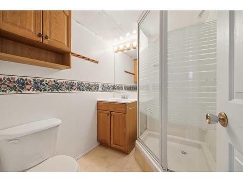 312031 Range Road 241, Rural Kneehill County, AB - Indoor Photo Showing Bathroom