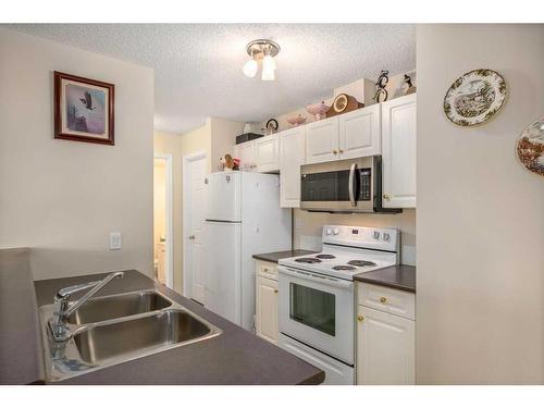 201-260 Shawville Way Se, Calgary, AB - Indoor Photo Showing Kitchen With Double Sink