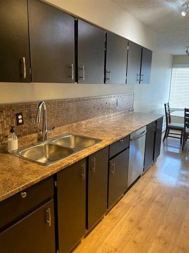206-630 57 Avenue Sw, Calgary, AB - Indoor Photo Showing Kitchen With Double Sink
