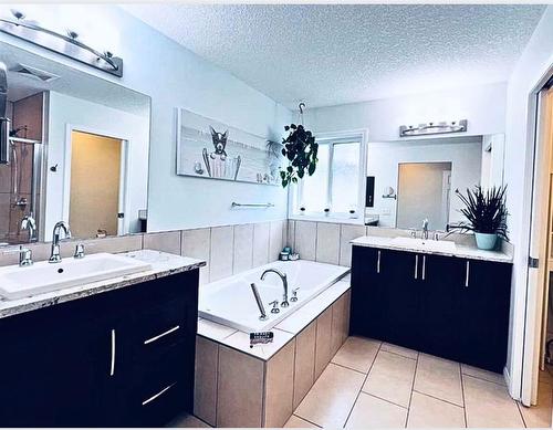 286 Mountainview Drive, Okotoks, AB - Indoor Photo Showing Bathroom