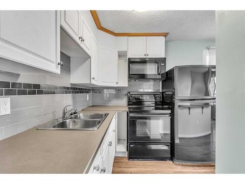 3928 29A Avenue Se, Calgary, AB - Indoor Photo Showing Kitchen With Double Sink