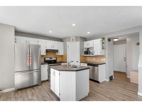 994 Coventry Drive Ne, Calgary, AB - Indoor Photo Showing Kitchen With Stainless Steel Kitchen With Double Sink