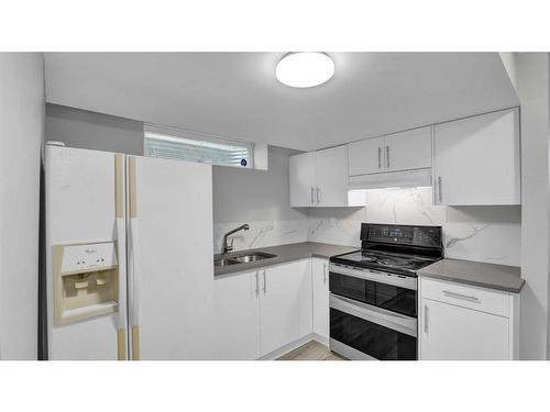 181 Martindale Drive Ne, Calgary, AB - Indoor Photo Showing Kitchen With Double Sink