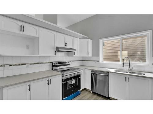 181 Martindale Drive Ne, Calgary, AB - Indoor Photo Showing Kitchen With Double Sink