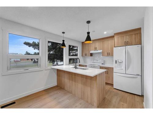 975 Pinecliff Drive Ne, Calgary, AB - Indoor Photo Showing Kitchen With Double Sink
