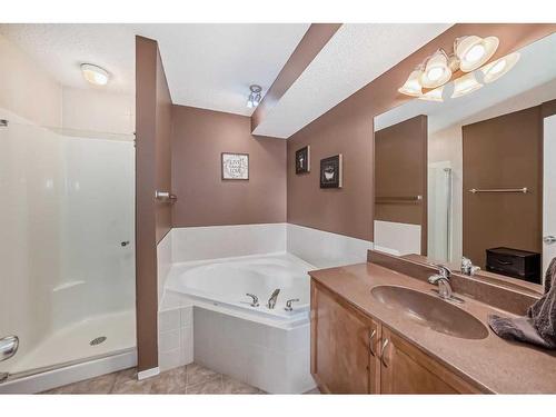 100 Cranfield Circle Se, Calgary, AB - Indoor Photo Showing Bathroom