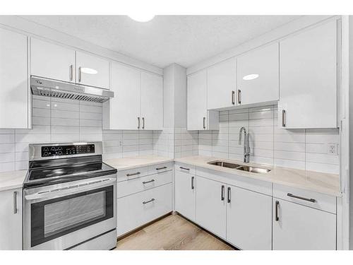 108 Pinecliff Close Ne, Calgary, AB - Indoor Photo Showing Kitchen With Double Sink With Upgraded Kitchen