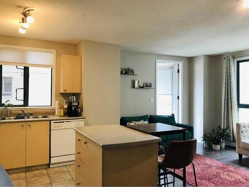 417-1111 6 Avenue Sw, Calgary, AB - Indoor Photo Showing Kitchen With Double Sink