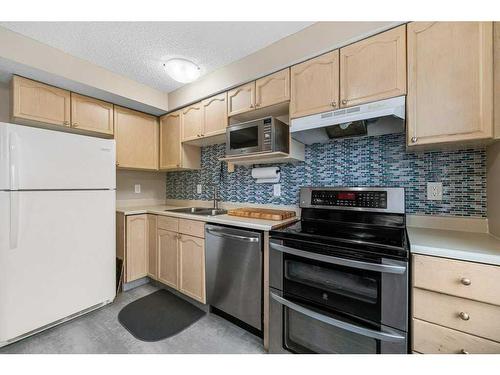 10 Coachway Gardens Sw, Calgary, AB - Indoor Photo Showing Kitchen With Double Sink