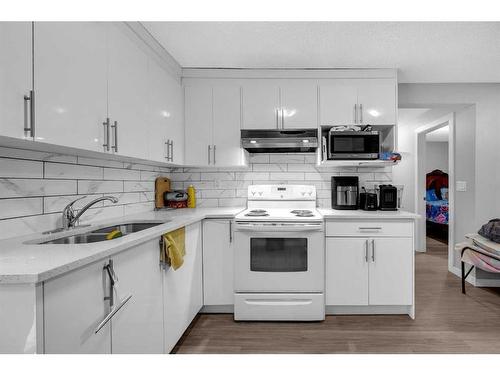 117 Martinpark Way Ne, Calgary, AB - Indoor Photo Showing Kitchen With Double Sink