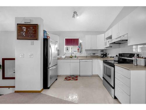 117 Martinpark Way Ne, Calgary, AB - Indoor Photo Showing Kitchen With Double Sink