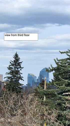 1612 25 Avenue Sw, Calgary, AB - Outdoor With View