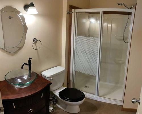 227 Frederick Avenue West, Standard, AB - Indoor Photo Showing Bathroom