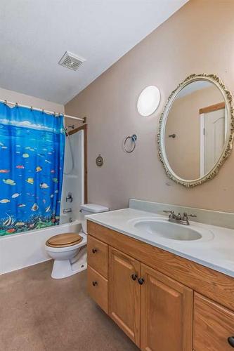 227 Frederick Avenue West, Standard, AB - Indoor Photo Showing Bathroom