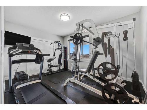 26 Chelsea Bay, Chestermere, AB - Indoor Photo Showing Gym Room