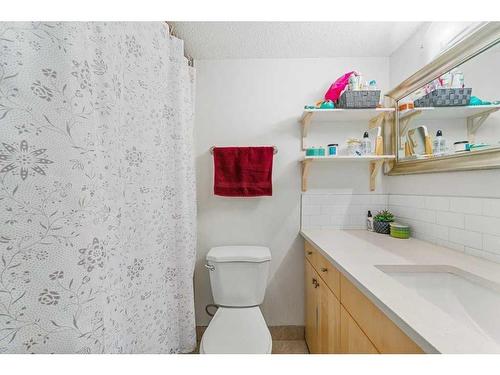 303-2317 17A Street Sw, Calgary, AB - Indoor Photo Showing Bathroom
