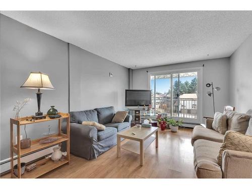 401-3420 50 Street Nw, Calgary, AB - Indoor Photo Showing Living Room