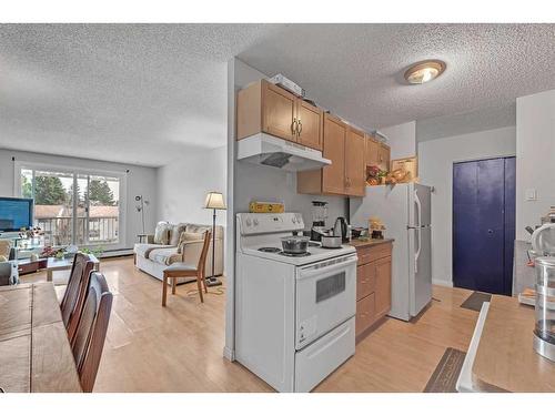 401-3420 50 Street Nw, Calgary, AB - Indoor Photo Showing Kitchen