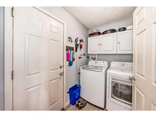 12-117 Bow Ridge Drive, Cochrane, AB - Indoor Photo Showing Laundry Room