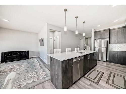 68 Homestead Close Ne, Calgary, AB - Indoor Photo Showing Kitchen With Stainless Steel Kitchen With Upgraded Kitchen