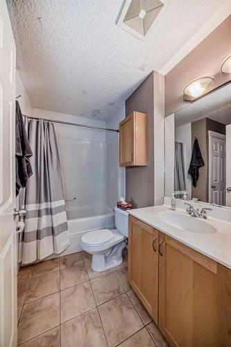 233-910 Centre Avenue, Calgary, AB - Indoor Photo Showing Bathroom