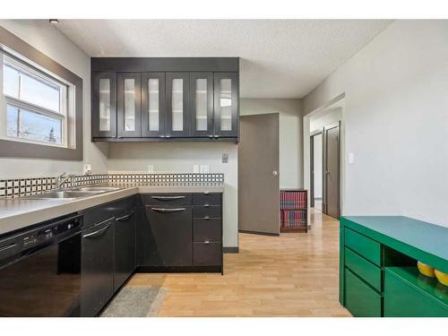 32 Penworth Green Se, Calgary, AB - Indoor Photo Showing Kitchen With Double Sink