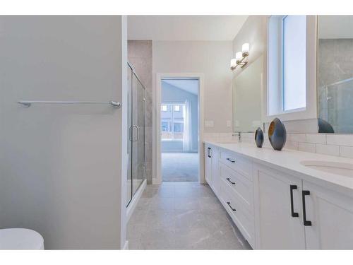 376 Precedence Hill, Cochrane, AB - Indoor Photo Showing Bathroom