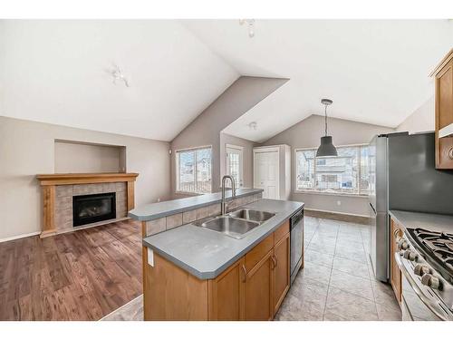 103 Covepark Place Ne, Calgary, AB - Indoor Photo Showing Kitchen With Fireplace With Double Sink
