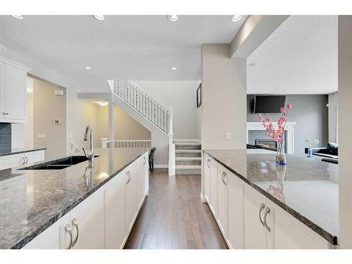 54 Auburn Meadows Court Se, Calgary, AB - Indoor Photo Showing Kitchen With Double Sink With Upgraded Kitchen
