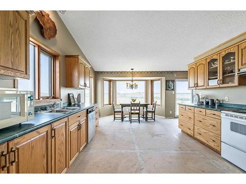 200-274128 320 Street East, Rural Foothills County, AB - Indoor Photo Showing Kitchen With Double Sink