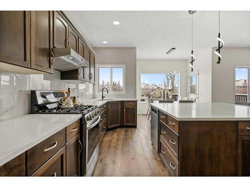 51 Auburn Bay Place Se, Calgary, AB - Indoor Photo Showing Kitchen With Upgraded Kitchen