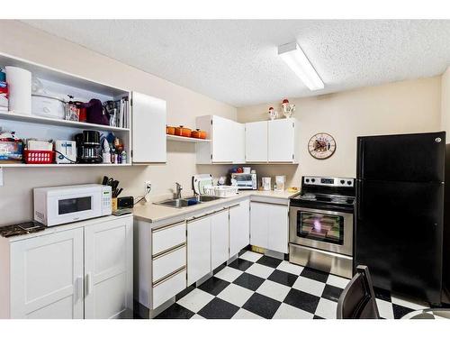 15-33106 Range Road 12, Rural Mountain View County, AB - Indoor Photo Showing Kitchen With Double Sink