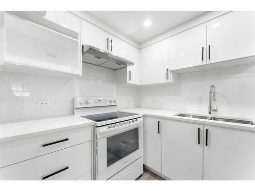 4419 58 Street Ne, Calgary, AB - Indoor Photo Showing Kitchen With Double Sink