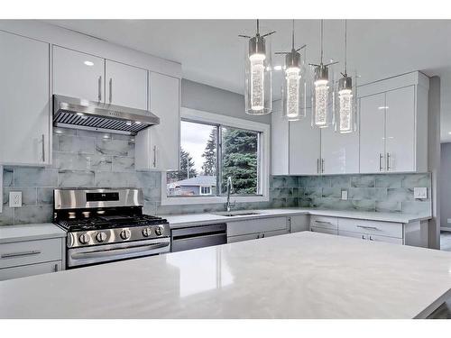 2045 Cottonwood Crescent Se, Calgary, AB - Indoor Photo Showing Kitchen With Stainless Steel Kitchen With Upgraded Kitchen