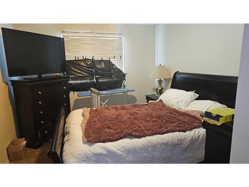 11025 24 Street Sw, Calgary, AB - Indoor Photo Showing Bedroom