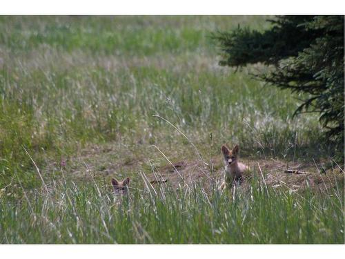 14 James River, Rural Clearwater County, AB 