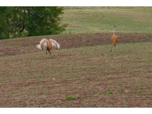 14 James River, Rural Clearwater County, AB 