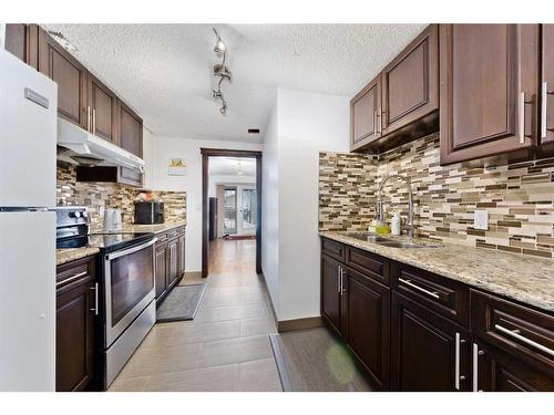 161 Shawfield Road Sw, Calgary, AB - Indoor Photo Showing Kitchen With Upgraded Kitchen