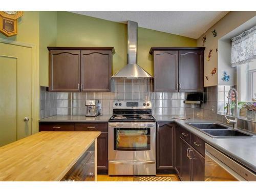 338 Millrise Drive Sw, Calgary, AB - Indoor Photo Showing Kitchen With Stainless Steel Kitchen With Double Sink