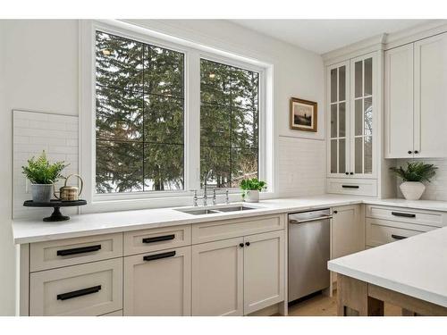 627 Willow Brook Drive Se, Calgary, AB - Indoor Photo Showing Kitchen With Double Sink