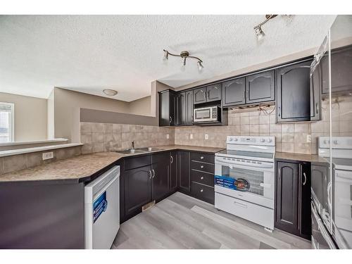 96 Saddlebrook Circle Ne, Calgary, AB - Indoor Photo Showing Kitchen With Double Sink